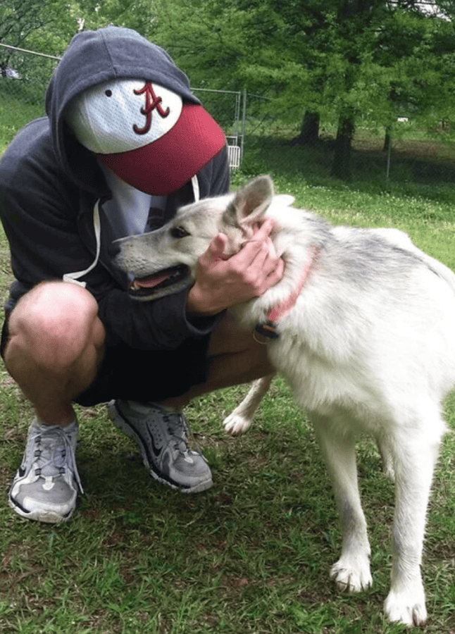 How to help animals at local shelters